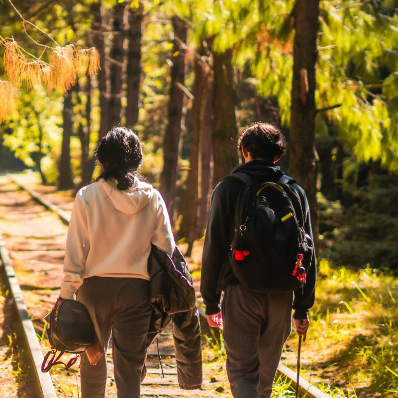 Two people hiking in a sunlit forest trail